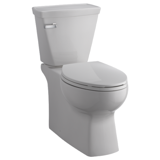 Chile Toilet